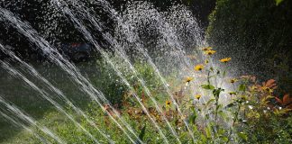 Cómo optimizar el rendimiento de tu riego de forma eficaz riego