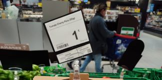 Tomates “sin origen”: el cherry del Sáhara se disfraza de marroquí en los supermercados españoles tomates marruecos. foto COAG