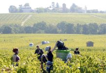 Agricultura vincula las ayudas de la PAC al cumplimiento de normas laborales y de seguridad jornada laboral