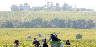 ASAJA lamenta que Yolanda Díaz “desconozca por completo la realidad del campo español” jornada laboral