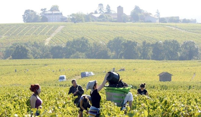 Agricultura vincula las ayudas de la PAC al cumplimiento de normas laborales y de seguridad jornada laboral