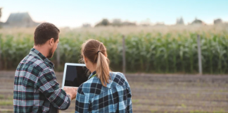 La afiliación al Sistema Especial Agrario sube en abril un 2,84 por ciento Sistema Especial Agrario