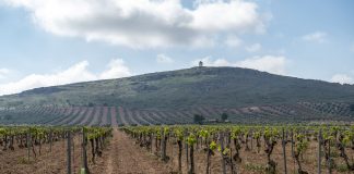 Levantan las restricciones de riego en tres masas de aguas subterráneas de Castilla-La Mancha