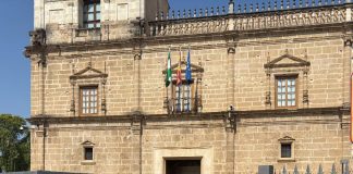 Las firmas contra la tala de olivos tradicionales para instalar megaplantas solares superan las 108.000 firmas contra la tala de olivos