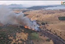 UPA llama a actuar ya frente a los incendios forestales incendio Malagón