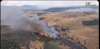 UPA llama a actuar ya frente a los incendios forestales incendio Malagón