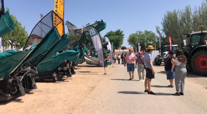 FERDUQUE 2026 celebrará su octava edición del 5 al 7 de junio en Porzuna FERDUQUE