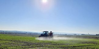 Un proyecto revoluciona la producción de cereales en Europa cereales