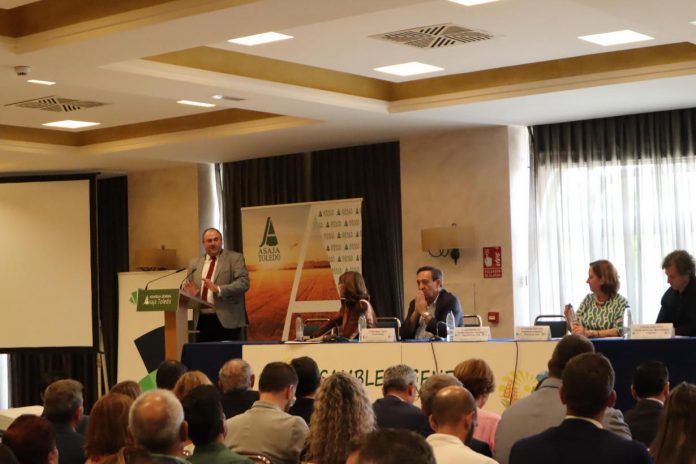 Martínez Lizán Martínez Lizán