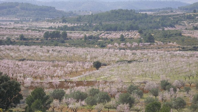 almendros