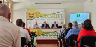 El futuro del olivar pasa por la reconversión que permita la mecanización