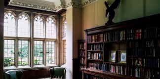 IOTA en el contexto de un mercado cripto cada vez más interconectado librería