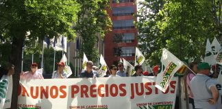 Pide un seguimiento riguroso de las importaciones de cereales tras el fin del régimen temporal con Ucrania Unión de Uniones