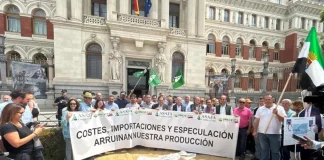 El campo se manifiesta en Madrid para exigir al Gobierno salvar al cereal español sector cerealista