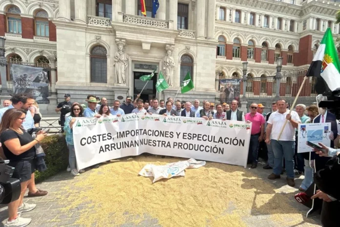 sector cerealista