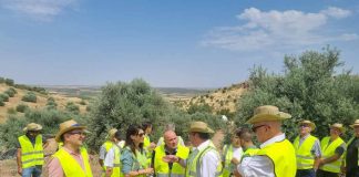 12,9 millones para regadíos sostenibles en Mora y Mascaraque regadíos Toledo