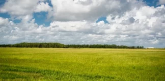 La Comisión Europea recaba opiniones sobre la futura certificación voluntaria para la captura de carbono en suelos agrícolas