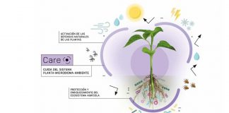 Fertiberia TECH mantiene su apuesta por la biotecnología a través de su línea Neoforce