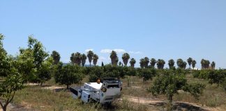 Avanzan en la recolección autónoma para el aprovechamiento del caqui caído al suelo recolección autónoma