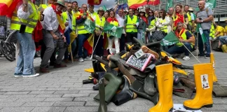 La propuesta europea de la PAC 2028-2034 contempla recortes presupuestarios y un solo pilar PAC Bruselas