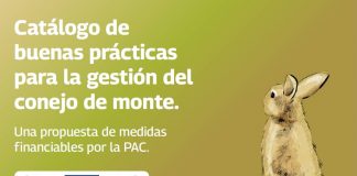 Publicado un catálogo de buenas prácticas para la gestión del conejo de monte conejo de monte