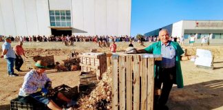 Corta 52 kilos de ajos en veinte minutos y gana un concurso en un pueblo de Cuenca concurso corte de ajo