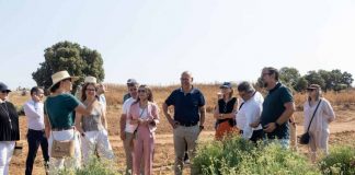 El guayule, un cultivo emergente con un gran potencial guayule