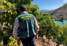Dos detenidos y un menor investigado por robar 5.000 kilos de almendra ecológica guardia civil