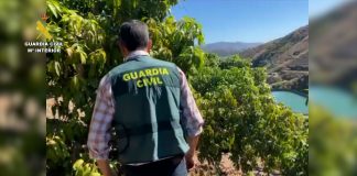 La Guardia Civil recupera 5.400 kilos de almendra robada y detiene a dos reincidentes guardia civil
