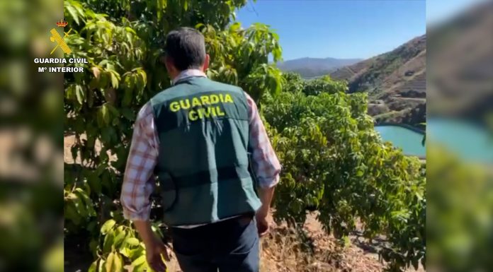 Dos detenidos y un menor investigado por robar 5.000 kilos de almendra ecológica guardia civil