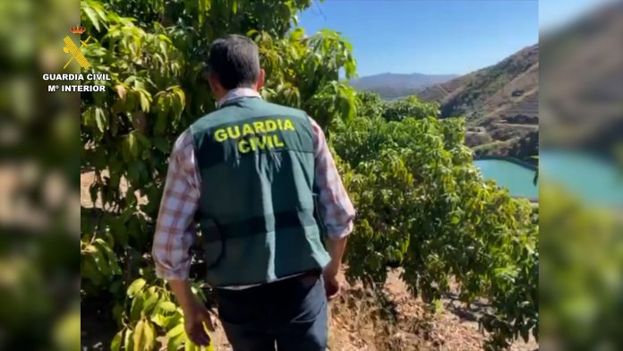 guardia civil