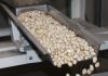 El pistacho ralentiza sus ventas ante la llegada de producto de EEUU e Irán pistachos