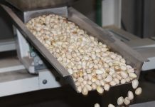 El pistacho ralentiza sus ventas ante la llegada de producto de EEUU e Irán pistachos