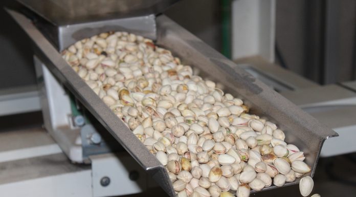 El pistacho ralentiza sus ventas ante la llegada de producto de EEUU e Irán pistachos