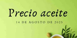 Precios medios en origen del aceite de oliva (14-agosto-2025) precio aceite