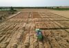 El Gobierno convoca las ayudas extraordinarias para el acceso a la financiación del sector agroalimentario campos de ensayo