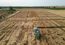 El Gobierno convoca las ayudas extraordinarias para el acceso a la financiación del sector agroalimentario campos de ensayo