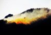 El seguro agrario cubre los daños de agricultores y ganaderos por incendios como el de Guadalajara incendio
