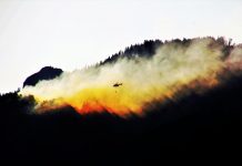 El seguro agrario cubre los daños de agricultores y ganaderos por incendios como el de Guadalajara incendio