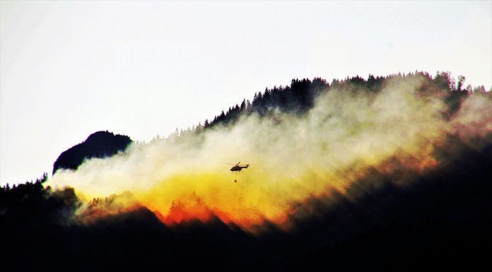 El seguro agrario cubre los daños de agricultores y ganaderos por incendios como el de Guadalajara incendio