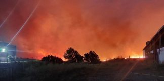 Pide, con carácter urgente, ayudas excepcionales destinadas a agricultores y ganaderos afectados por los incendios incendios