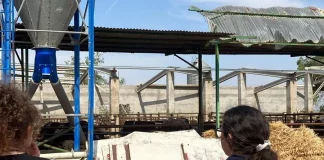 La fuerza extrema del viento arrasa 2.000 hectáreas de cultivos y daña infraestructuras agrícolas y ganaderas tornado