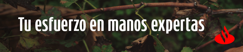 BANNER SANTANDER 1-10-2025