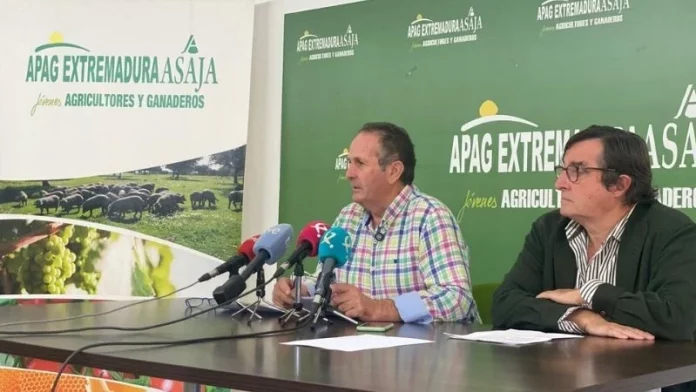 APAG EXTREMADURA