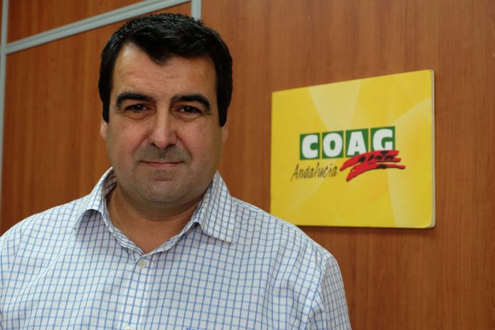 Andrés Góngora
