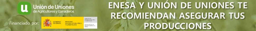 Banner UdU ENESA 2025