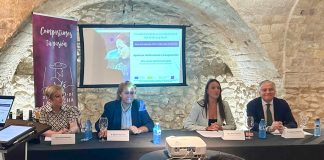 La Diputación de Ciudad Real reivindica el vino como motor económico y cultural Dipu CR
