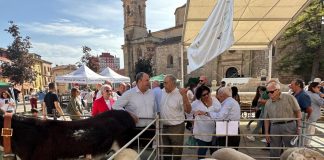 Castilla-La Mancha destinará 18 millones en ayudas al bienestar animal para los próximos tres años Feria de Molina de Aragón