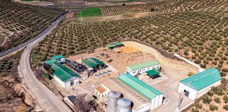 Interóleo refuerza su capacidad productiva con la incorporación de una gran cooperativa olivarera Cooperativa San Antonio Motaoliva