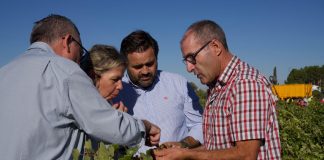 Núñez pide “una voz unida” para los agricultores de Castilla-La Mancha Paco Núñez